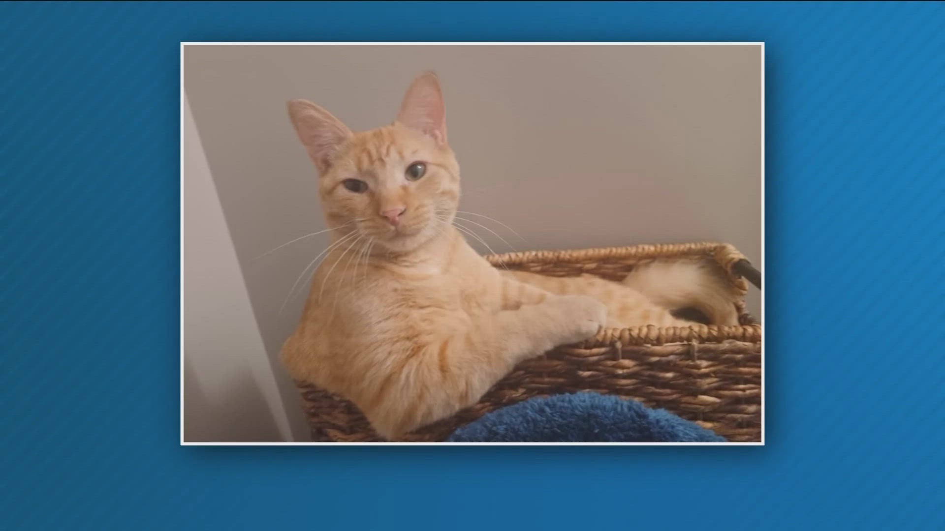 In Wednesday's YGN segment, viewers share photos and some nice stories! Submit your good news to us at yourgoodnews@kare11.com.