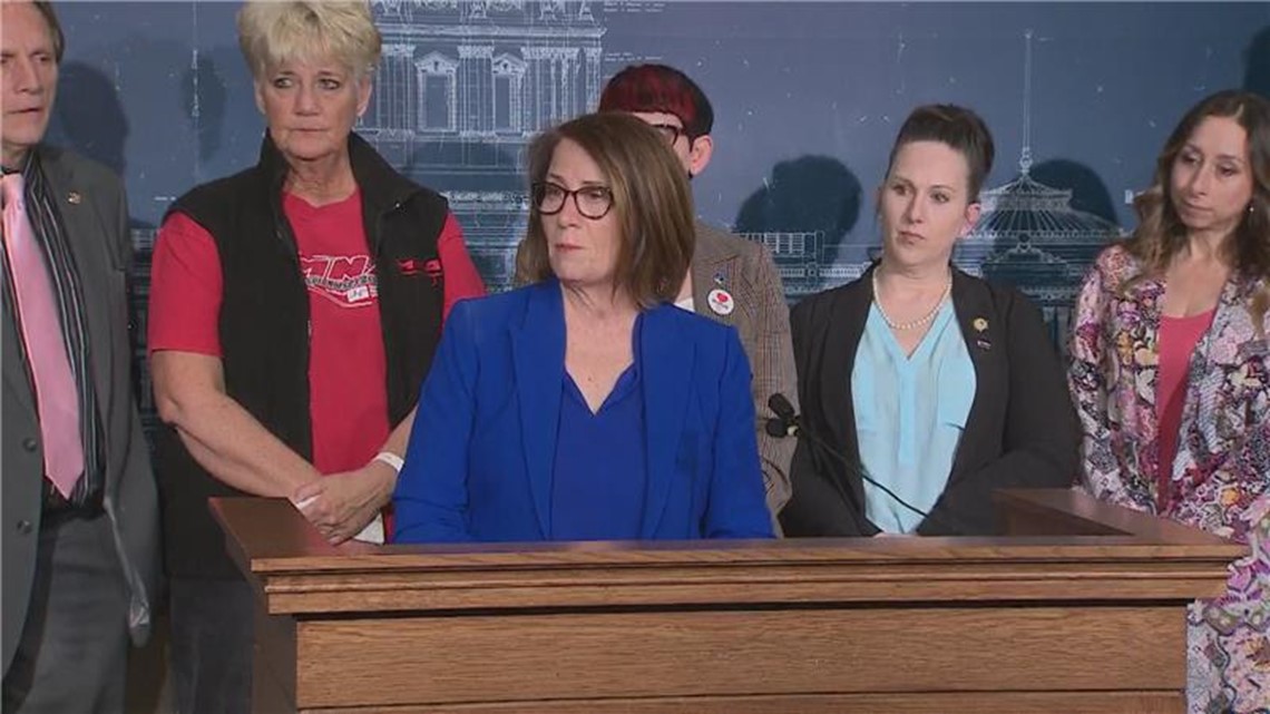 Agreement reached over nurses legislation - Vimarsana News