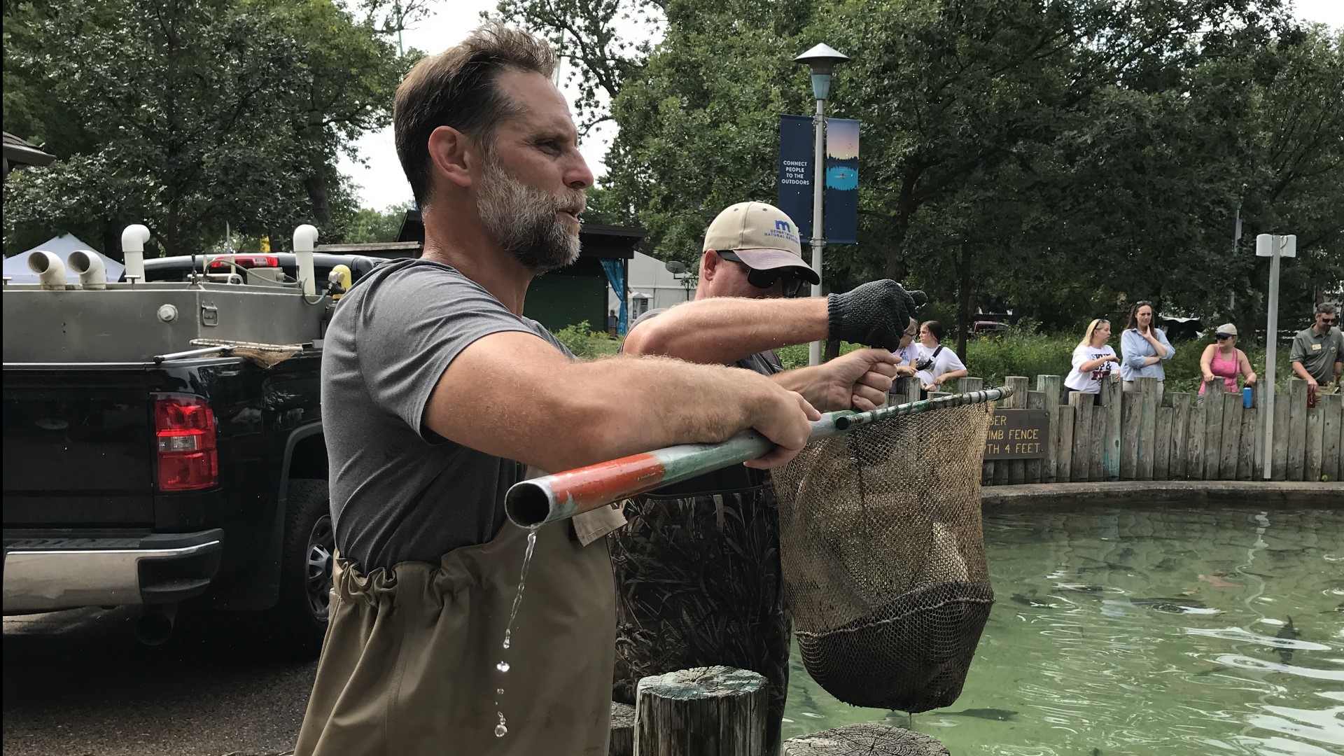 While the Minnesota State Fair can be a energizing, occasionally chaotic setting on its busiest days, the MN DNR fish pond is a great place to get away and relax.