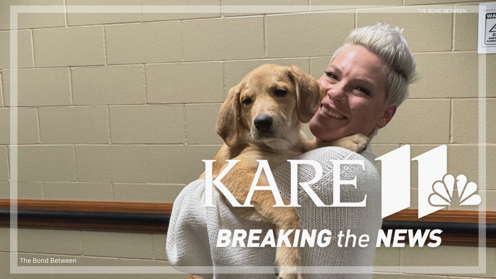 The pop star started fostering the pup during her tour stop in Minneapolis in October.