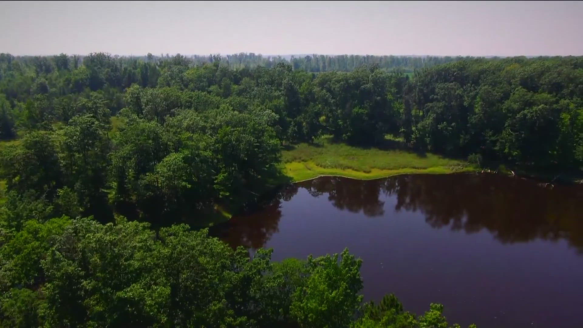 A 69-year-old woman is recovering after being attacked by a black bear in Barron County on Saturday. 