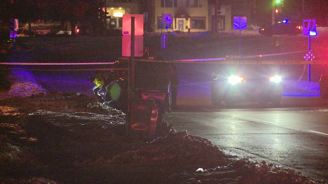 Suspect arrested in fatal hit-and-run in St. Paul - Vimarsana News