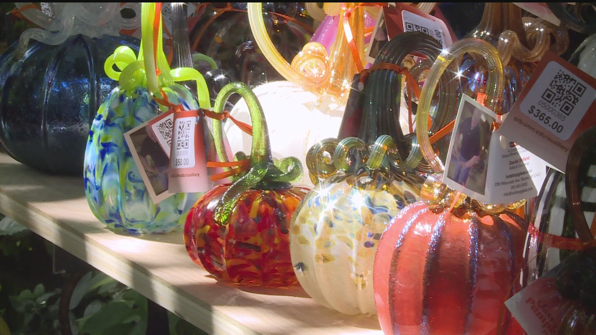 More than﻿ 5,000 handblown glass pumpkins and glass garden art made by 12 award-winning, professional glass artists, are on display.