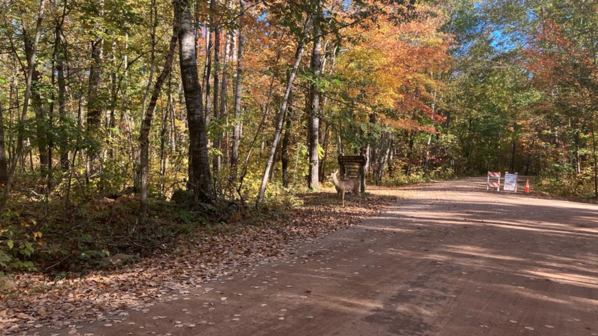 Popular Minnesota campgrounds closing for construction project
