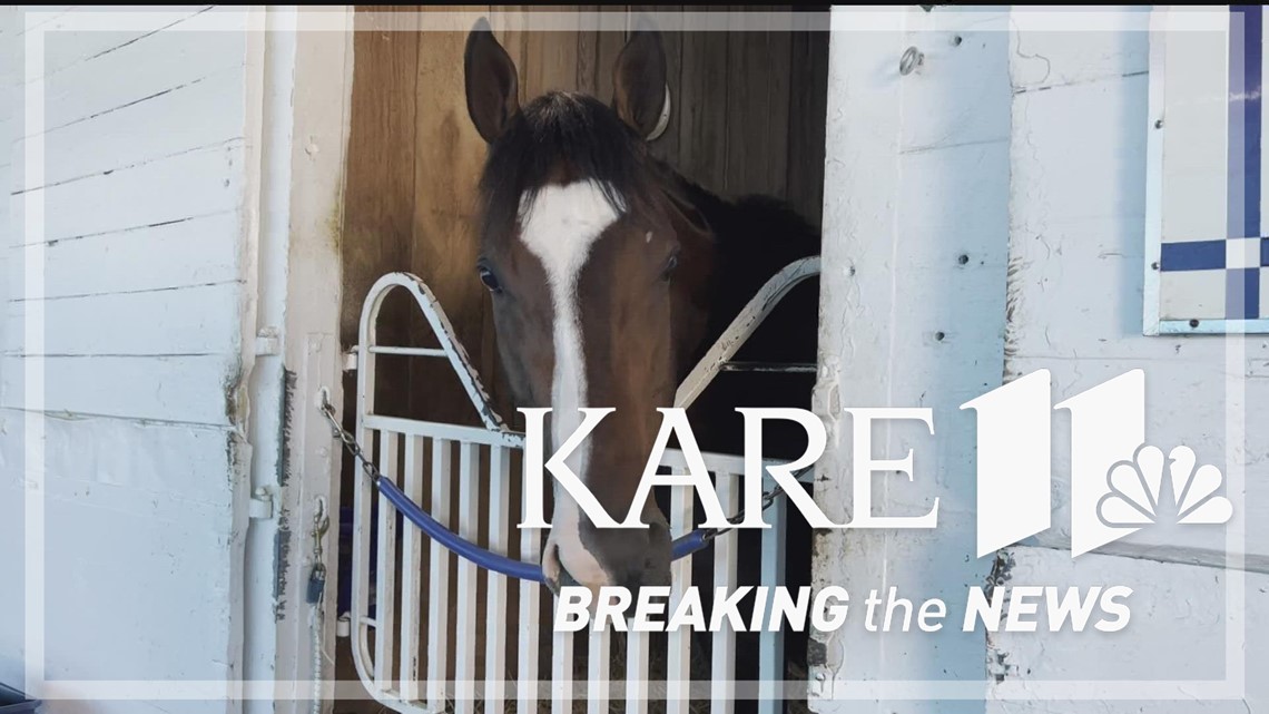 Two MN horses to compete at Kentucky Derby