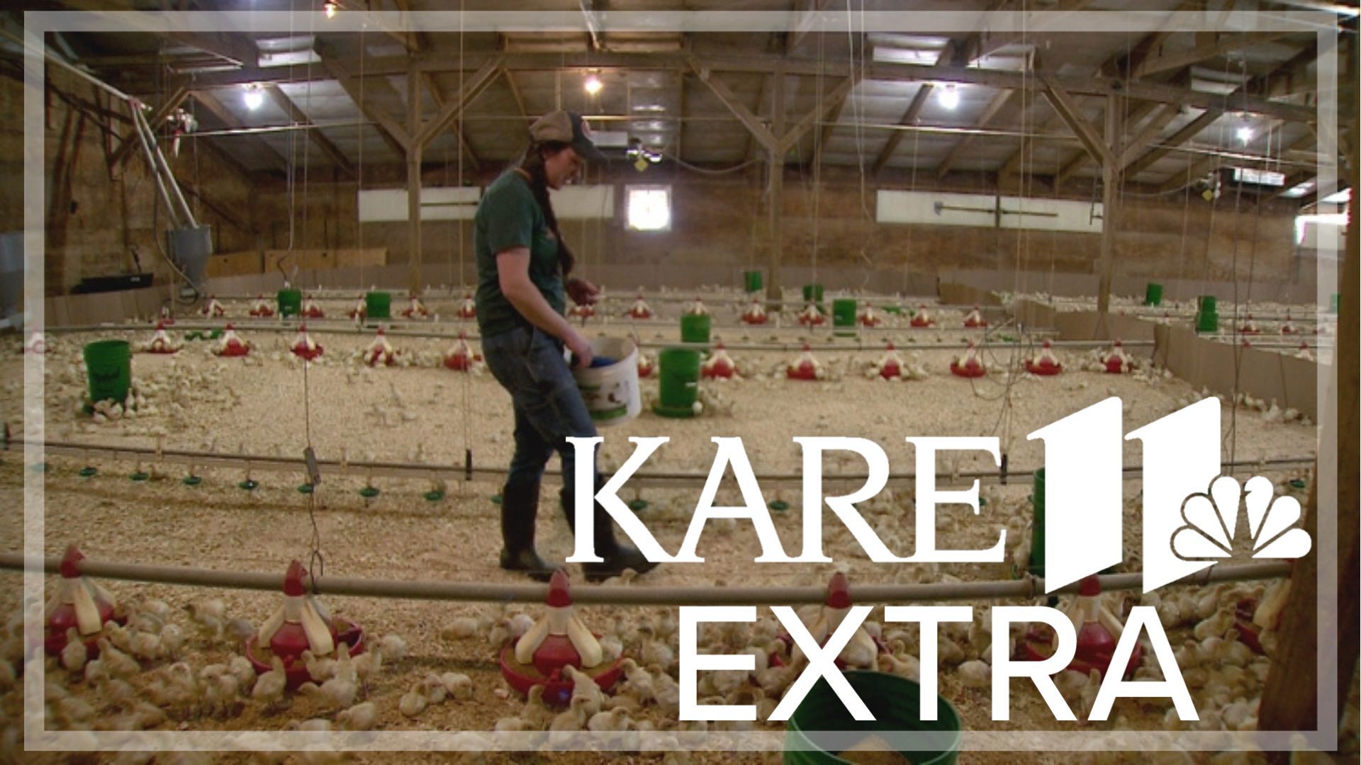 Erica Sawatzke remembers it was the day before Thanksgiving in 2023 when she noticed the family farm's turkeys were sick. 