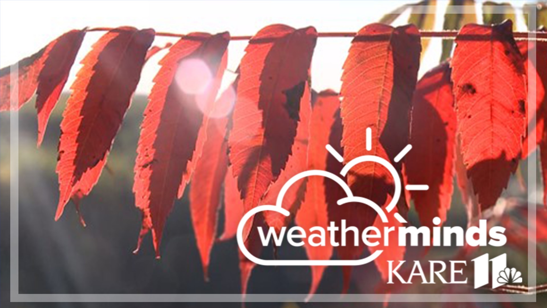 KARE 11 Meteorologist Ben Dery explains how and why leaves turn different colors in the fall.