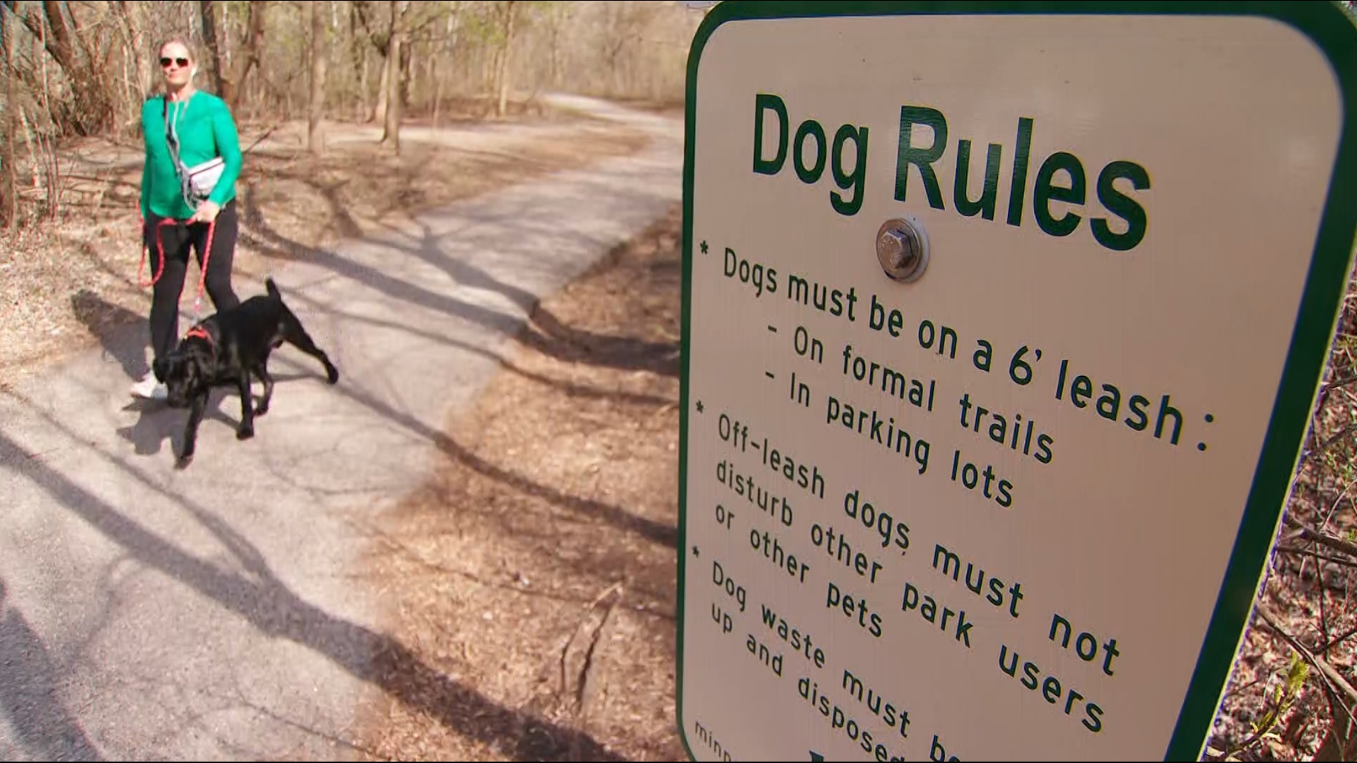 The areas are first being proposed at Purgatory Park, which has long been known as an unofficial space to allow dogs to roam free.