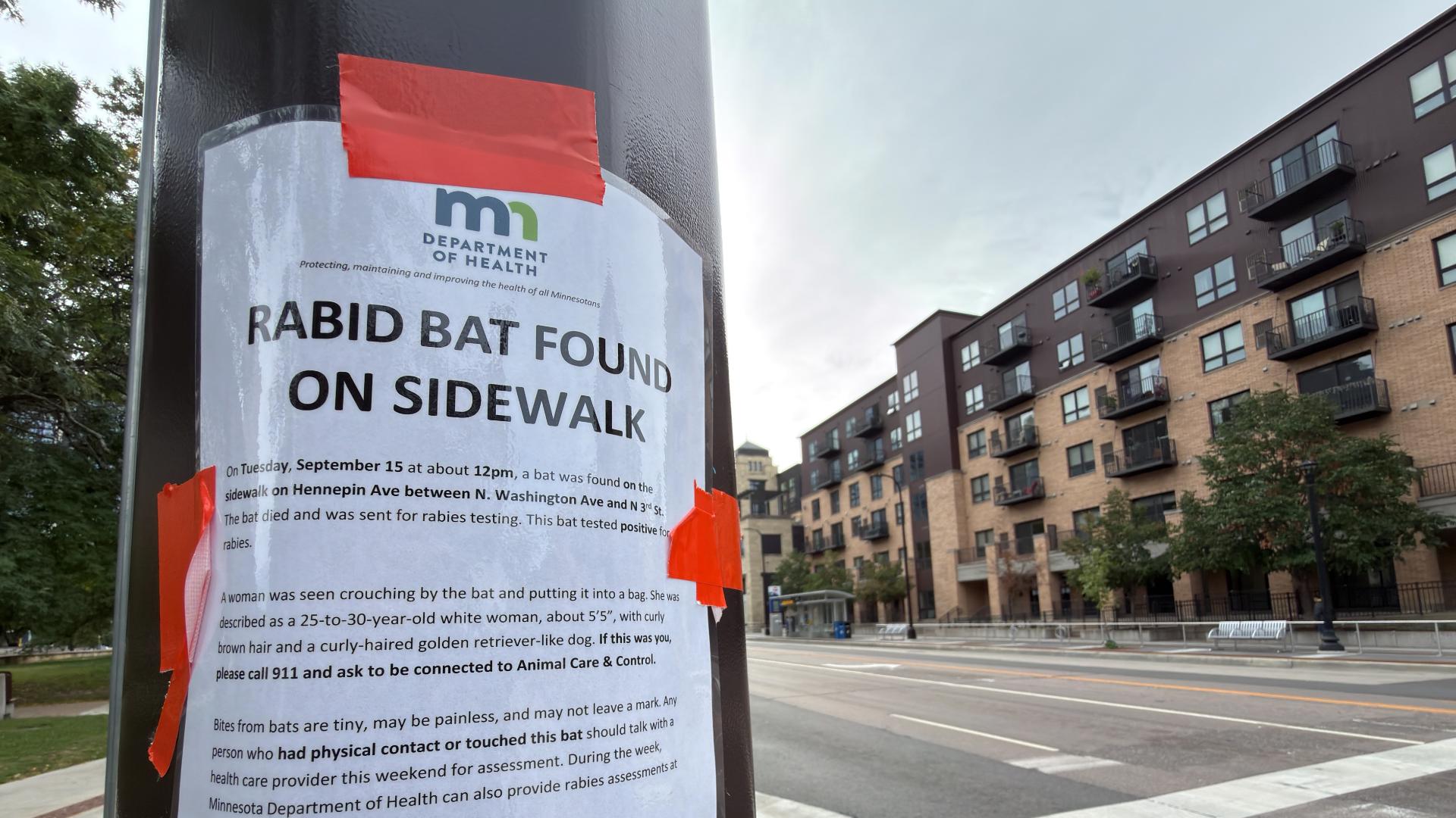 Rabid bat found in Minneapolis as state investigates wildlife service