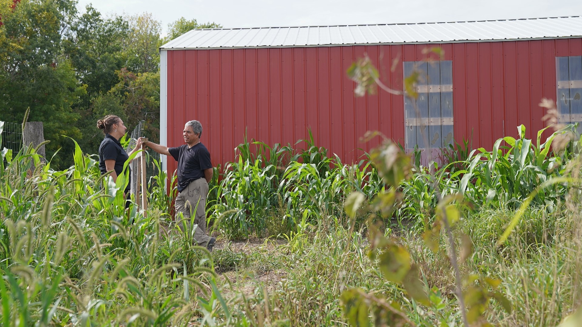 Meet the MN farmer changing the way we bring food to the table | kare11.com
