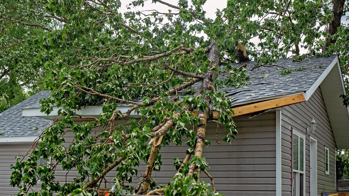 Tips for cleanup after a storm - Vimarsana News
