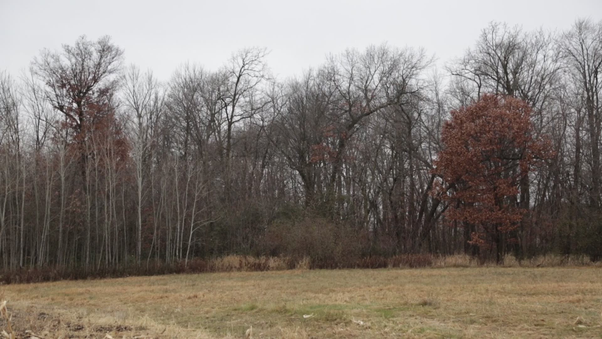 The filmmaking team behind a documentary on the kidnapping of Jacob Wetterling is kicking off a fundraising effort to complete the project. Here is a raw version of a scene to be included.