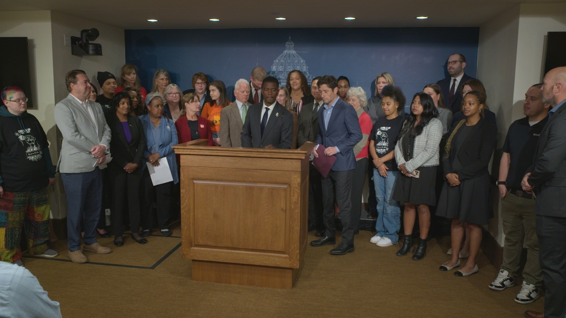 Mayors of Minnesota's largest cities ask for more authority to implement local gun regulations