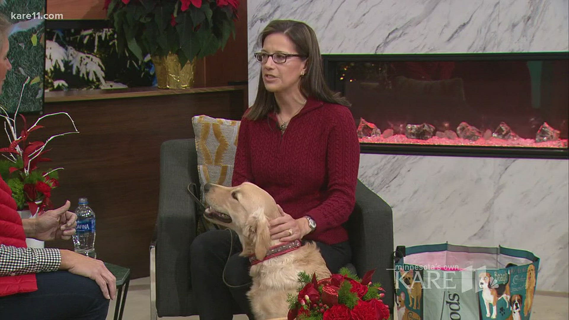 Kathryn Newman of Augusta Dog Training and Poppy, a golden retriever puppy, visit KARE 11 studios to show us how to prepare pets for holiday travel. http://kare11.tv/2Bou0Rs