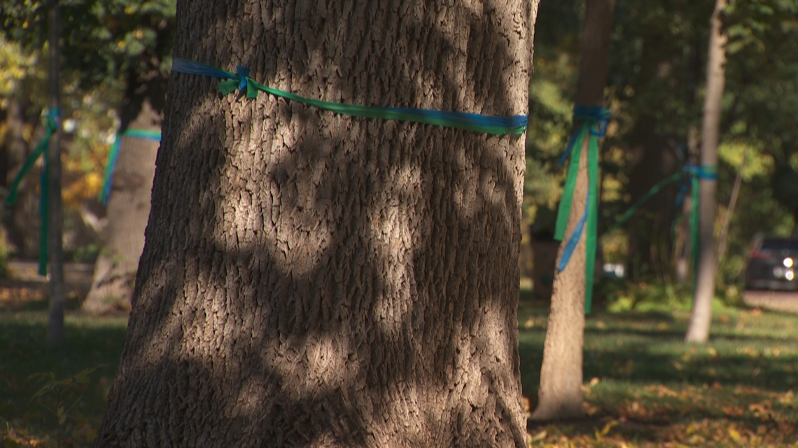 Here's what to know about responsibly removing the blue and green ...