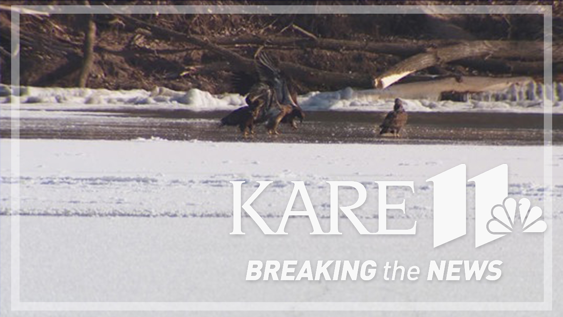 KARE 11 Photojournalist Tyler Teal went to check it out.