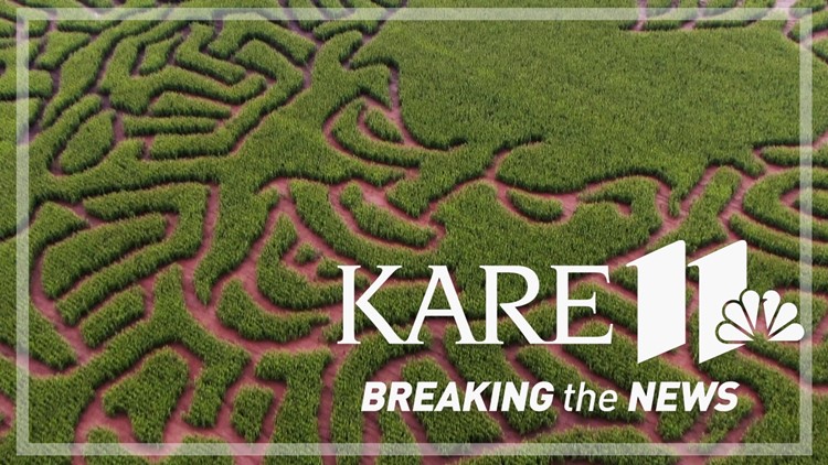 Foley farm claims largest corn maze in the world
