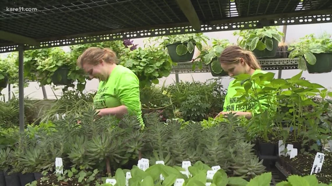 Grow with KARE Hennepin Tech plant sale