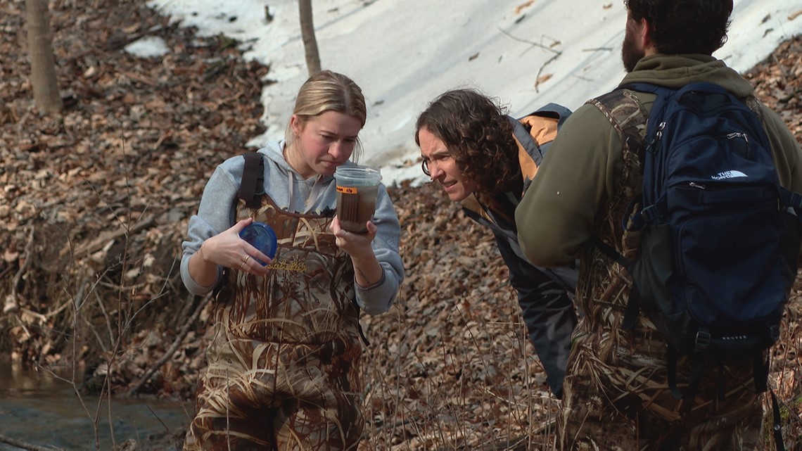 MN researchers dive into the world of winter-active insects | kare11.com