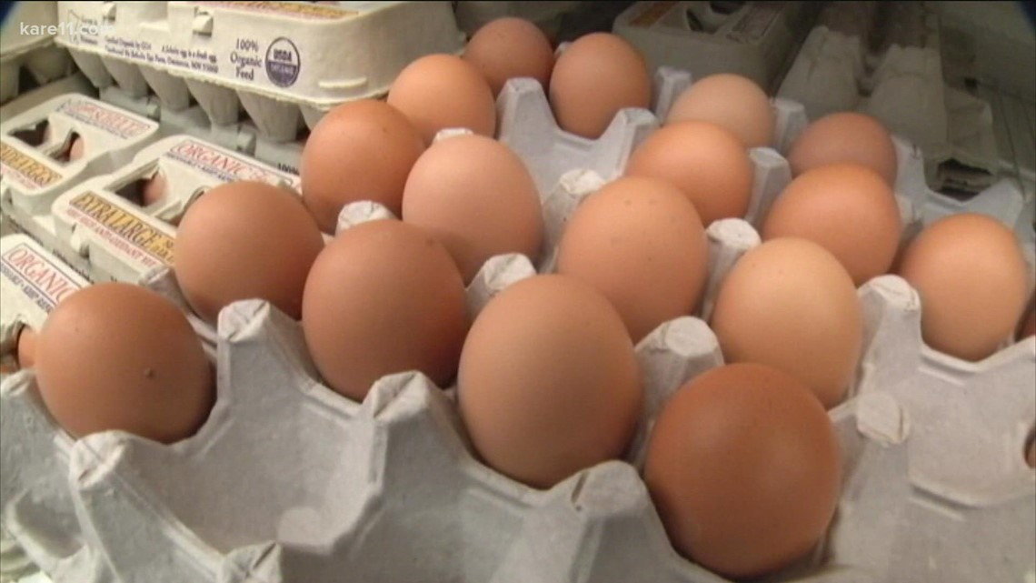 MN egg producer to donate more than a million eggs as settlement - Vimarsana News
