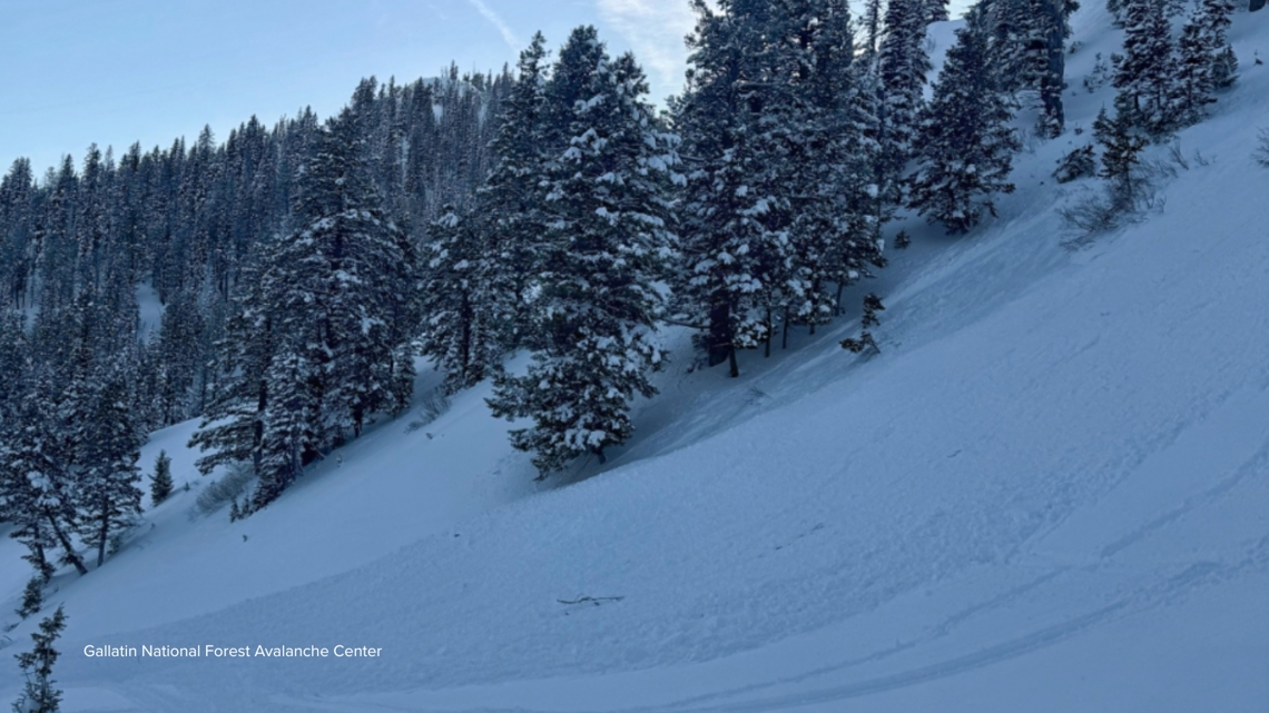 Minnesota man dies in Idaho avalanche