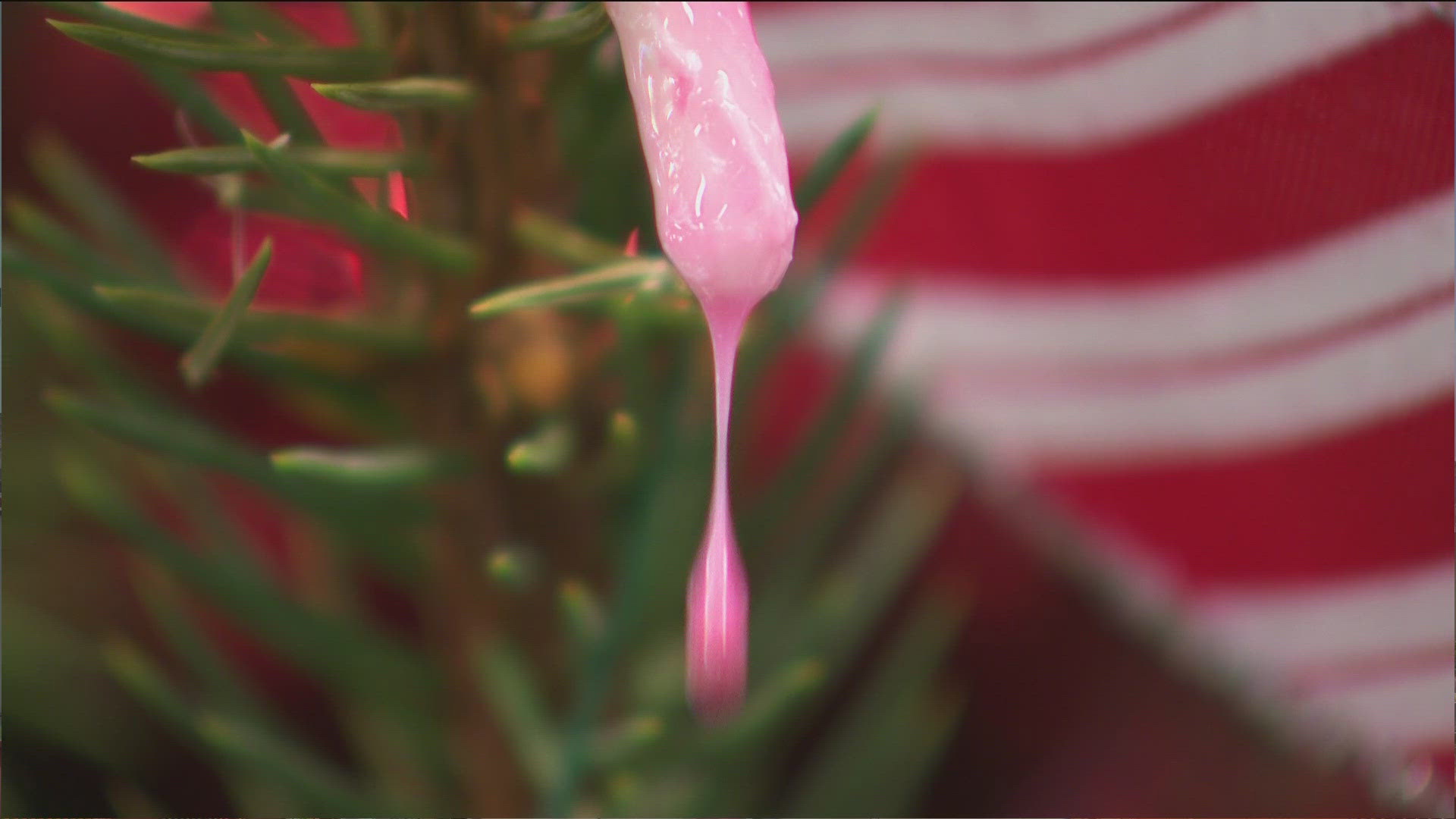 Candy canes in a display at the Minnesota State Fair's Agriculture Horticulture Building melted Monday as a result of the heat.