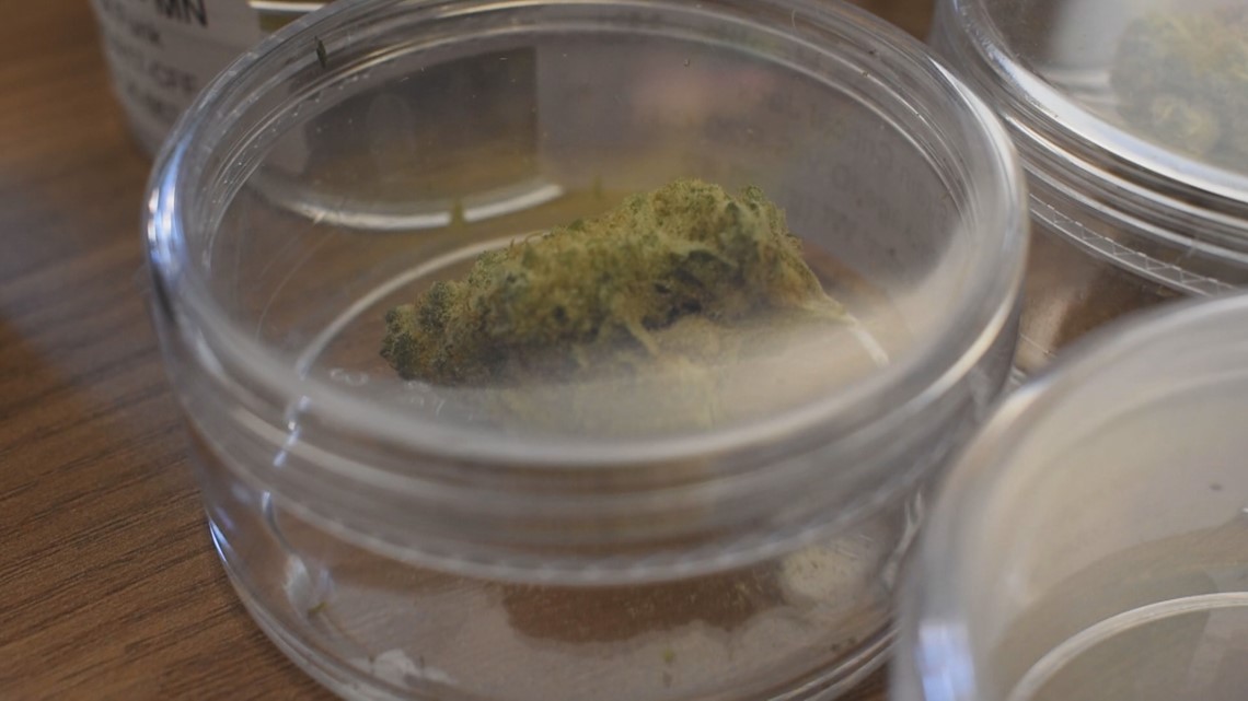 New qualifying conditions added to MN's medical cannabis program - Vimarsana News
