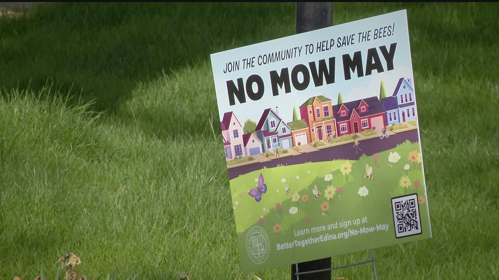 Some people are letting their yards grow extra long throughout May, but KARE 11 meteorologist Laura Betker says not everyone needs to hold back from mowing the lawn.