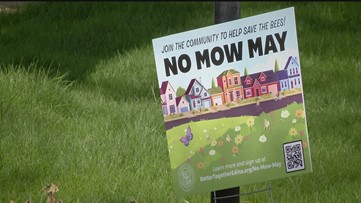 What exactly is 'No Mow May?'