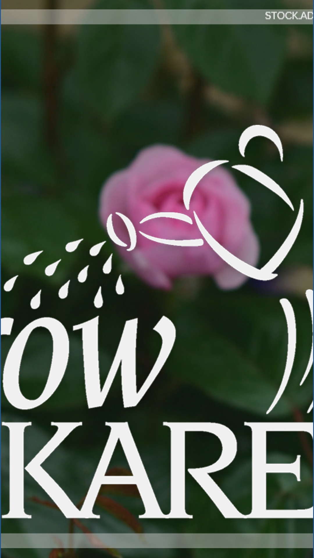 Grow with KARE: A Practical Guide to growing roses in Minnesota ...