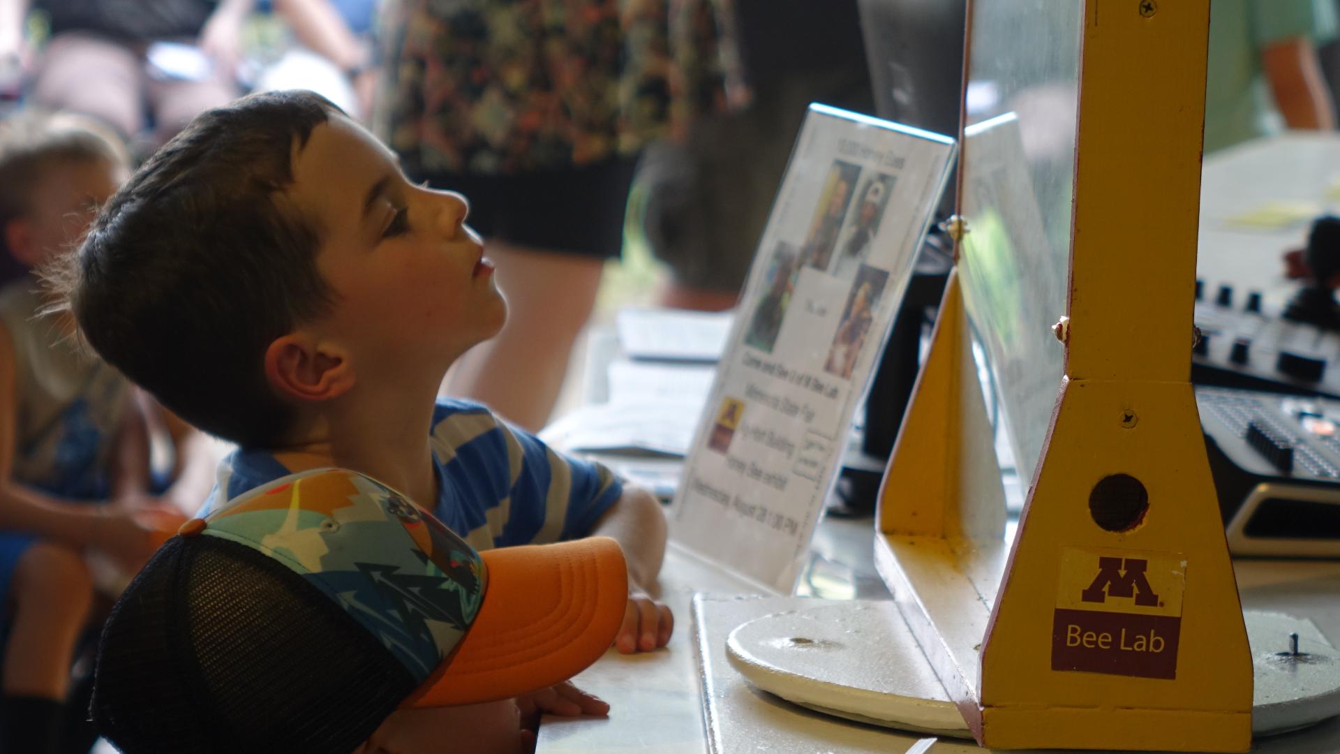 Tips from the Bee Lab at the Minnesota State Fair | kare11.com