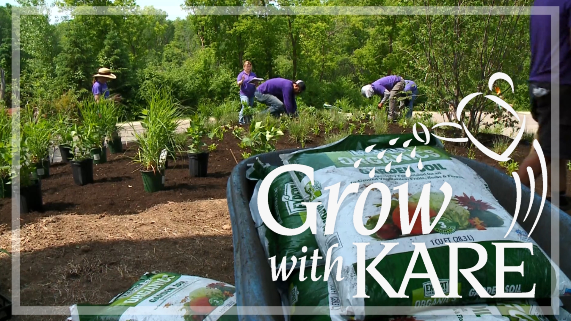 The partnership between the zoo and Bachman's is designed to raise awareness of pollinators and help you plant your own buzzin' garden at home.
