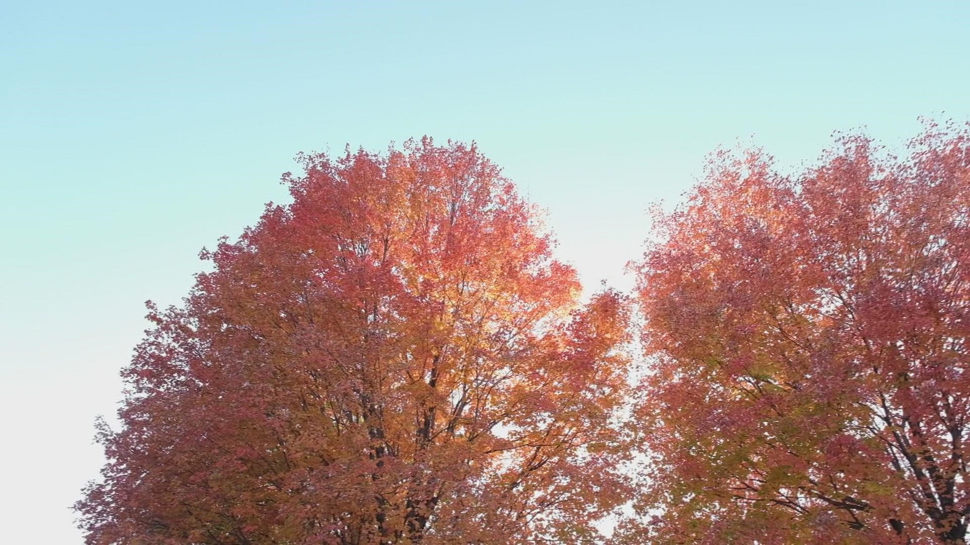 Elm Creek Park Reserve is the largest park in Three Rivers, and features several outdoor activities for people to enjoy, including miles of hiking and biking trails.