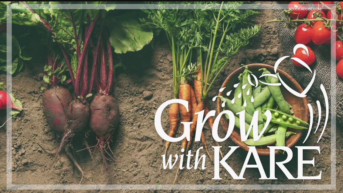 Grow with KARE: Plants to grow in fall