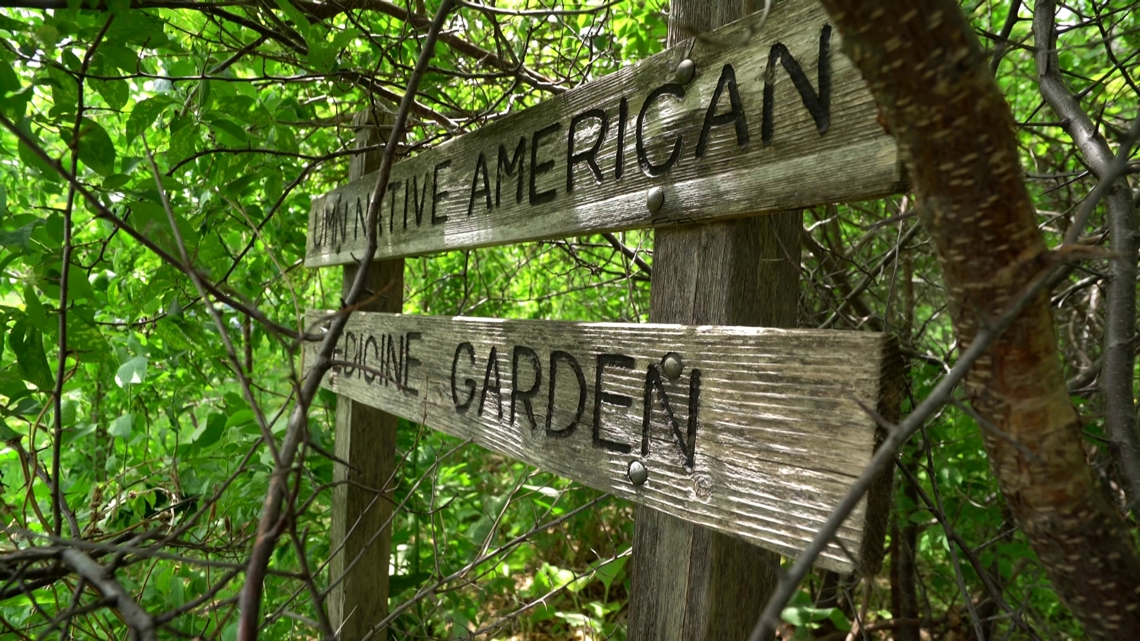 U of M Native American Medicine Garden reborn: 'A celebration of life'