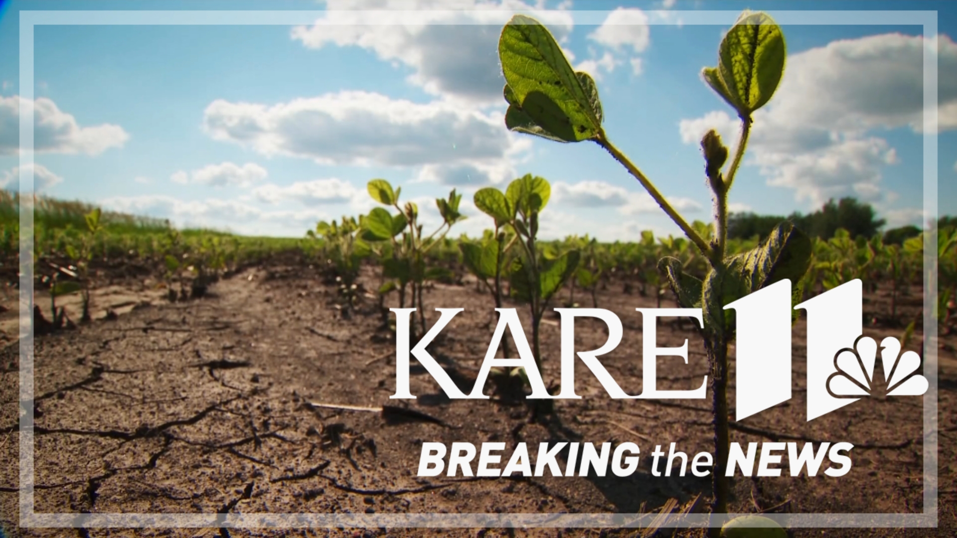Soybean farmers are growing increasingly concerned as China has boycotted purchases of U.S. soybeans since late may, turning to South America for the crop.