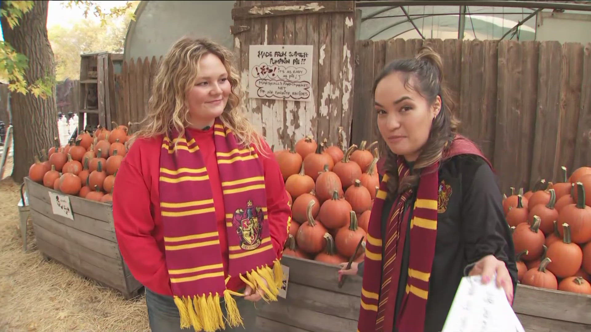 KARE 11 reporter Samie Solina checked out the Hogwarts merchandise, activities, fresh food options and pumpkins at the Eden Prairie market.