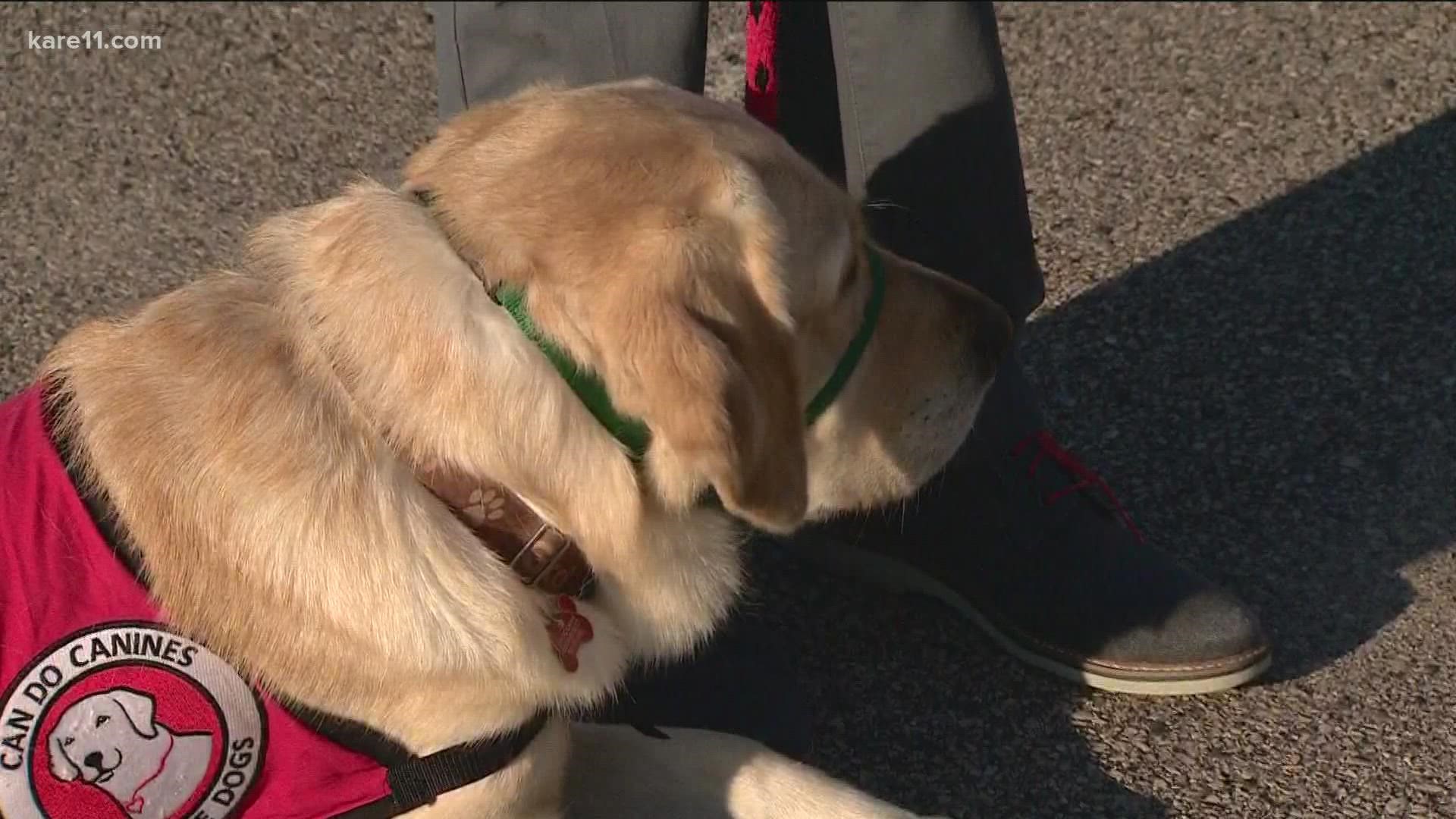 Do You Need A Service Dog For Adhd