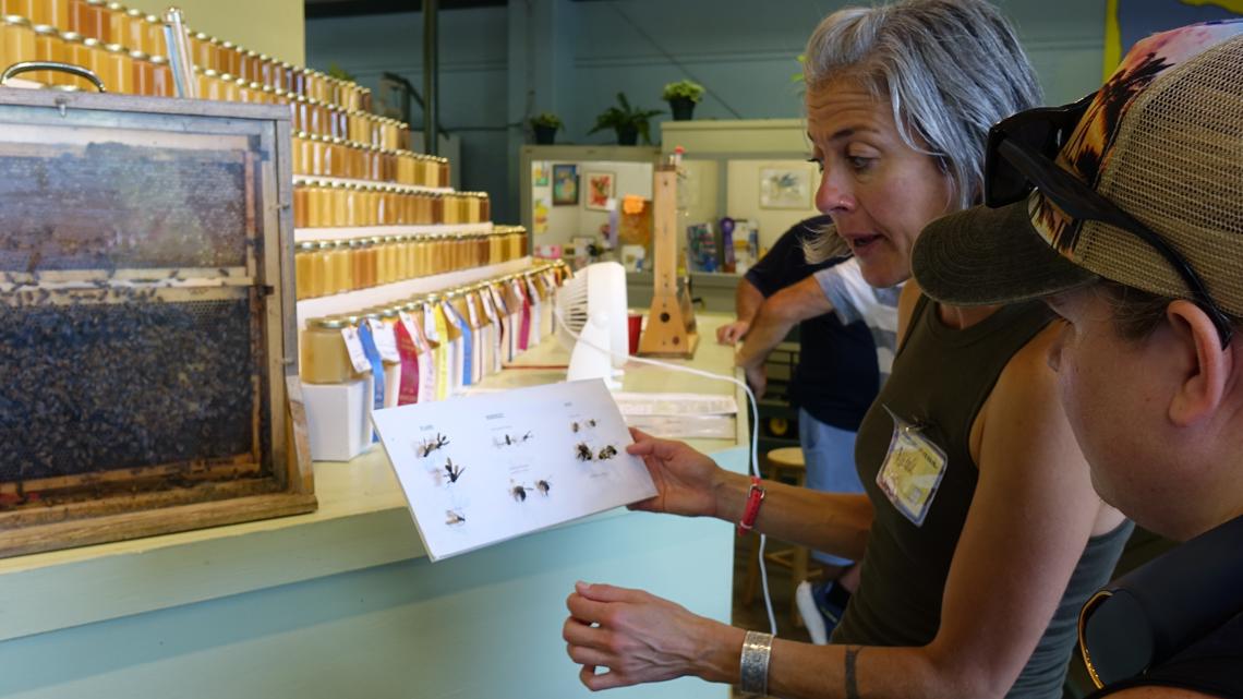Tips from the Bee Lab at the Minnesota State Fair | kare11.com
