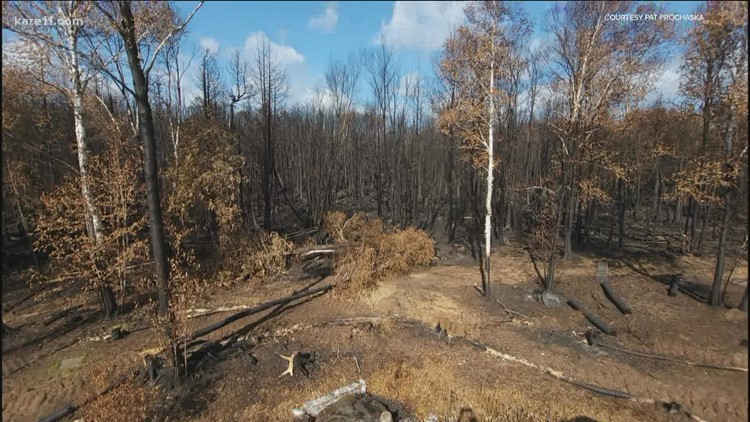 Never-before-seen photos show cabin damage from Greenwood Fire