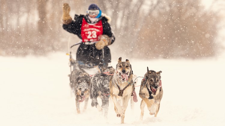 3rd Annual Lake Minnetonka Klondike Dog Derby brings a piece of the past to Excelsior