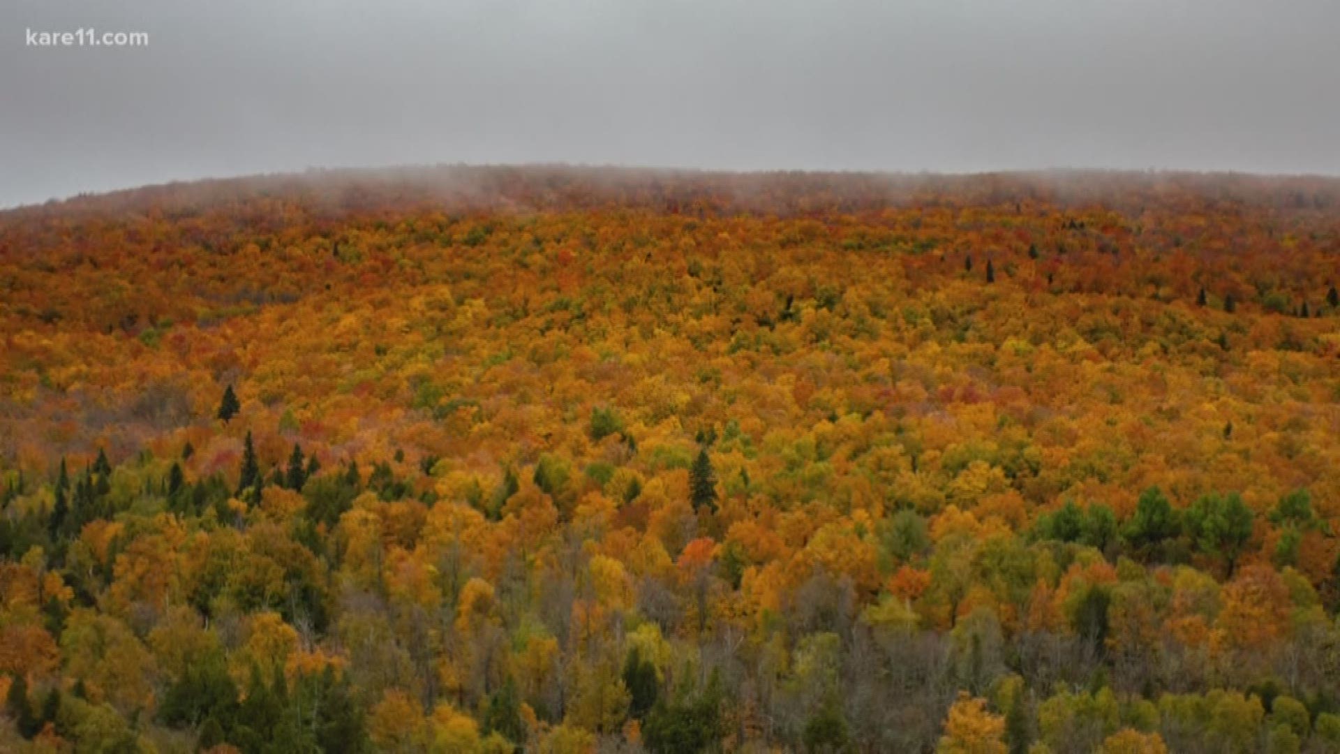 KARE 11's Ellery McCardle took a trip to the North Shore to check out the fall colors - and they did not disappoint!