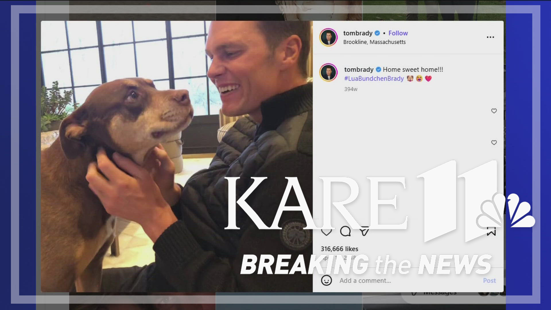 Brady says a blood sample was taken from his old dog, Lua, before she died, and a company he is an investor in has cloning technology that made it happen.