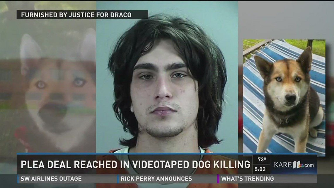 Plea deal reached in videotaped dog killing | kare11.com