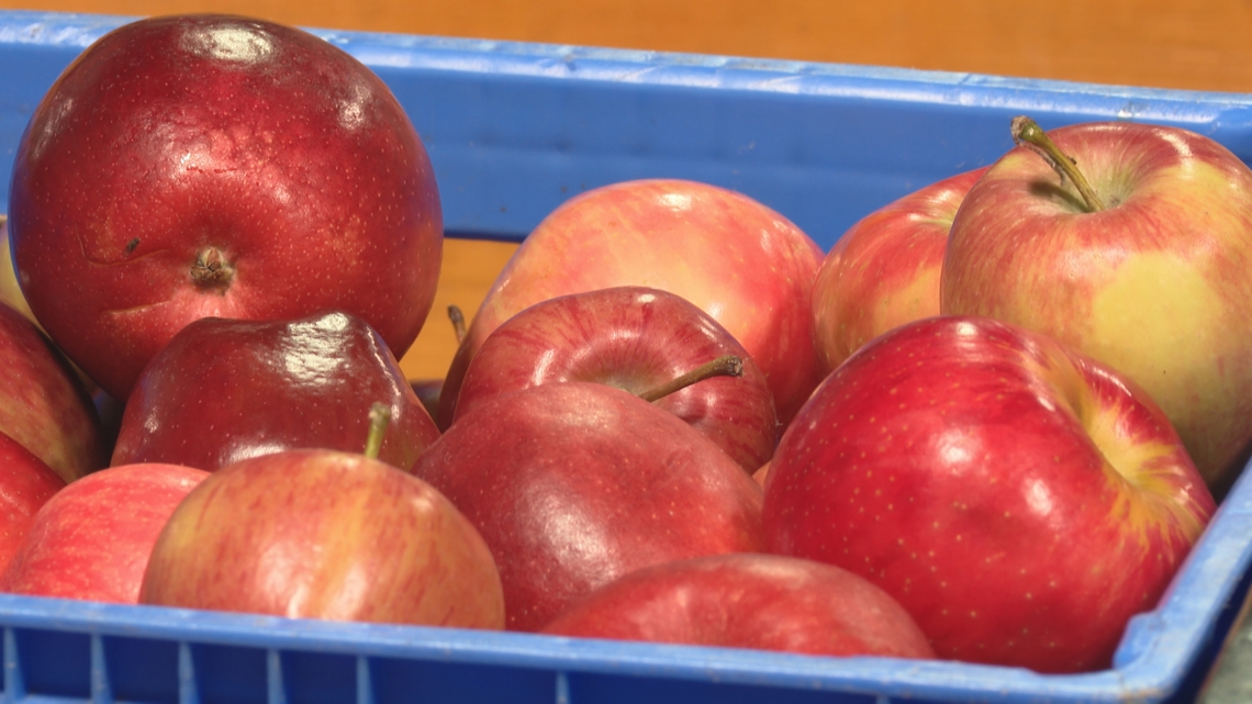 Trump administration plans to halt SNAP funding to Democratic-led states, including Minnesota