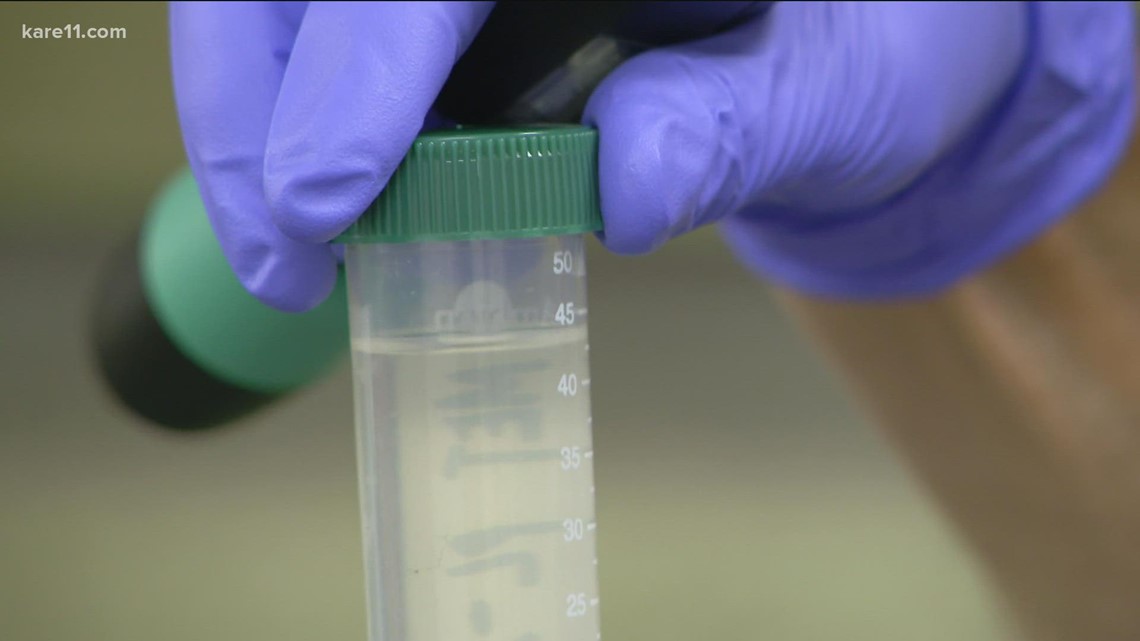 Minnesota wastewater has predicted each COVID wave - Vimarsana News