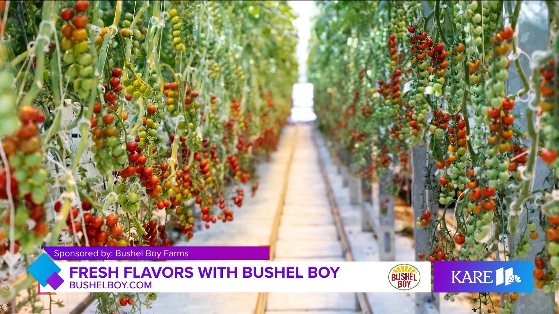 Bushel Boy Farms joins Minnesota and Company to discuss how you can find fresh and local produce to elevate your holiday meals.