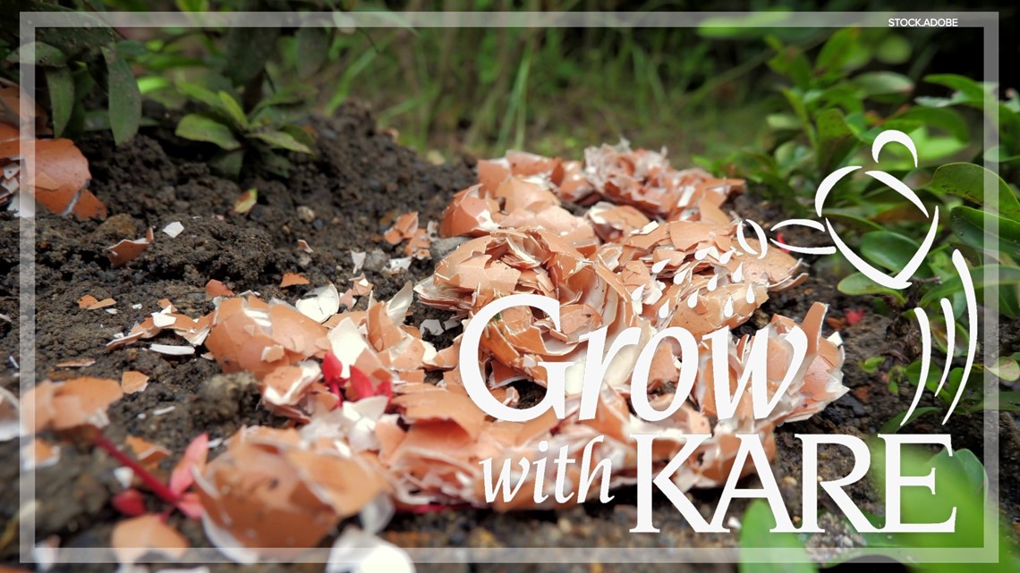 Grow with KARE: Using eggshells in your garden