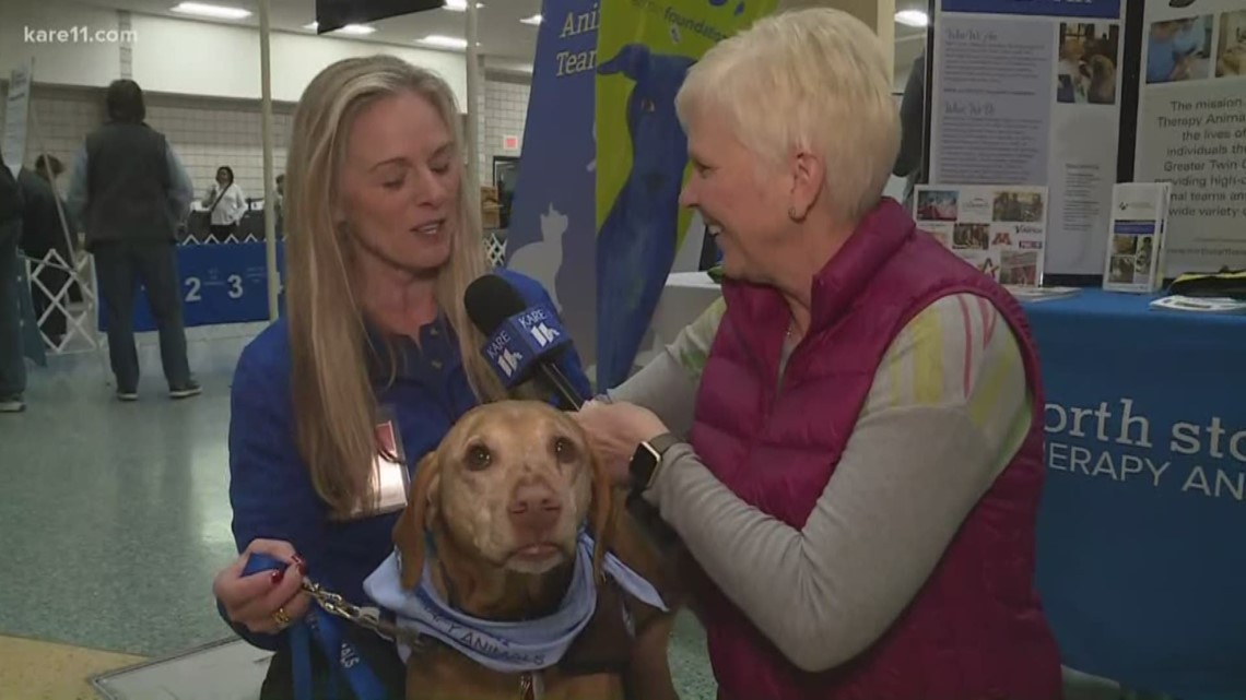 land o lakes dog show