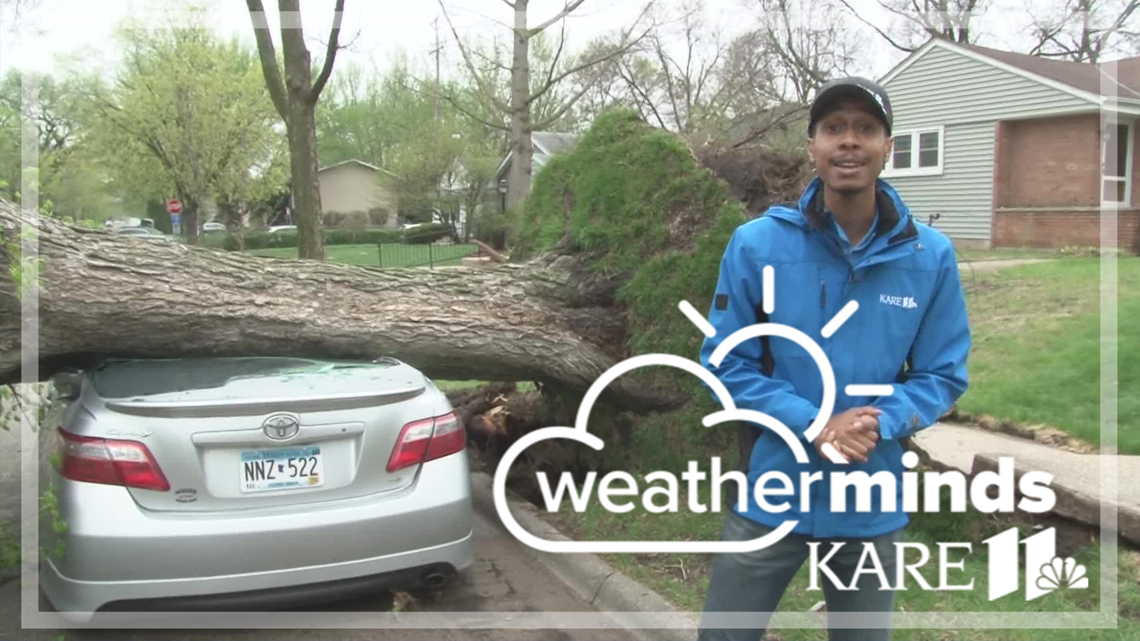 WeatherMinds: What contributes to downed trees during severe weather